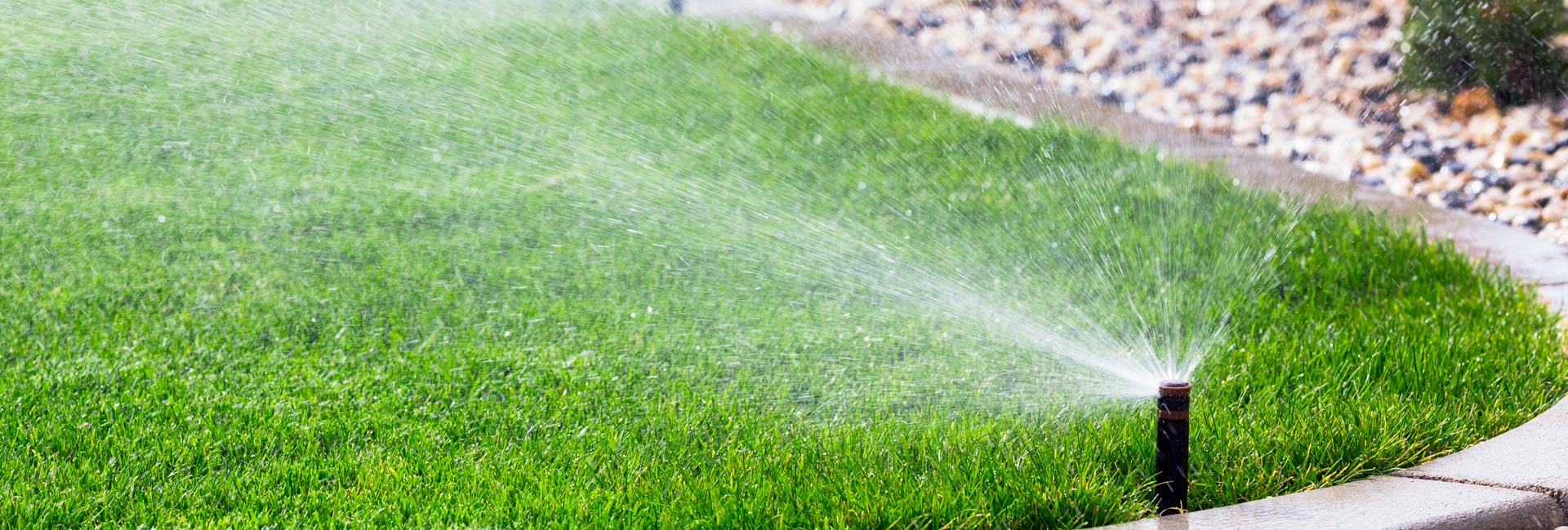 Automatic Sprinklers Watering Grass